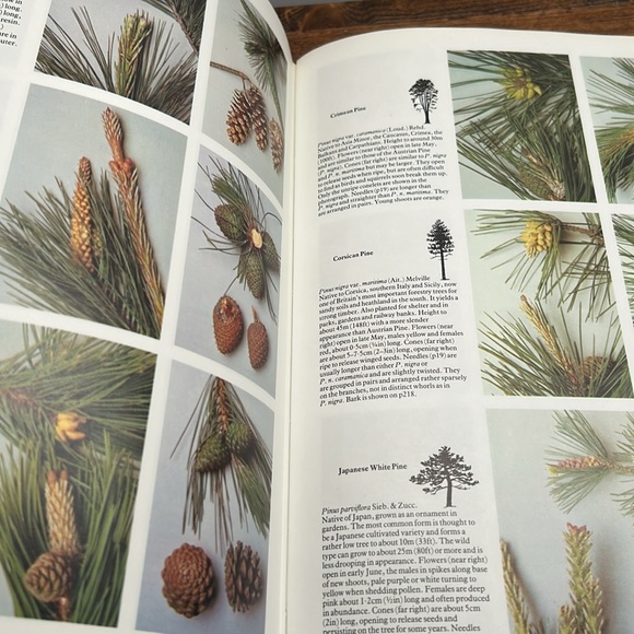 Vintage Hardcover Book 1978 Edition Trees In Britain, Europe And North America - Picture 11 of 16